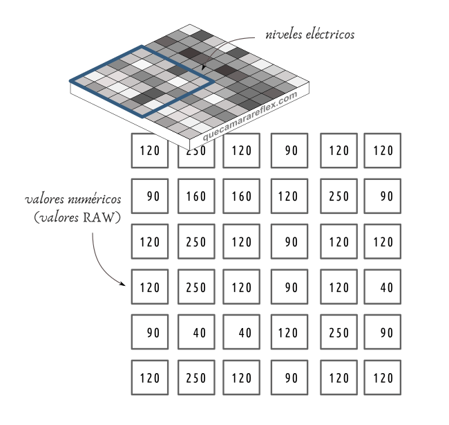 Qué contiene un fichero RAW - Valores del sensor