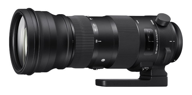 Teleobjetivo zoom Sigma 150-600mm - Muy usado para fotografía de aves