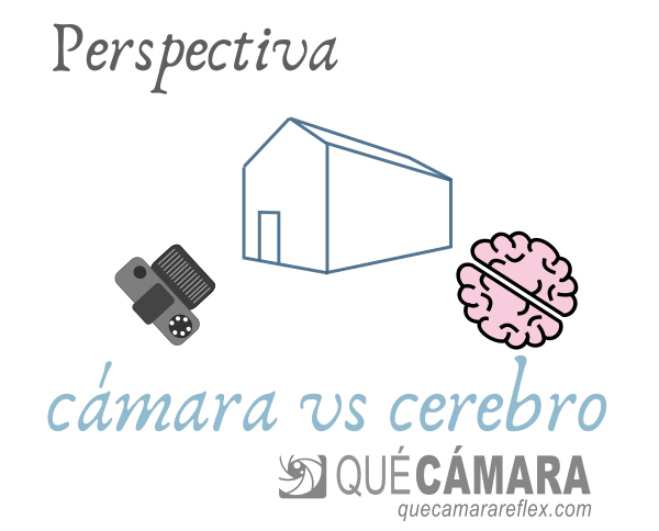 Deformación por perspectiva. Los ojos no tienen zoom