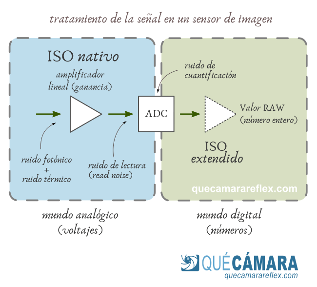 Sensor de imagen: bloque analógico y bloque digital